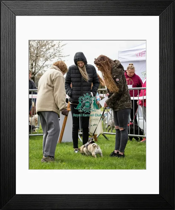 Framed Print : Scruffts Newbury 2019 Framed Print : Scruffts Newbury 2019
