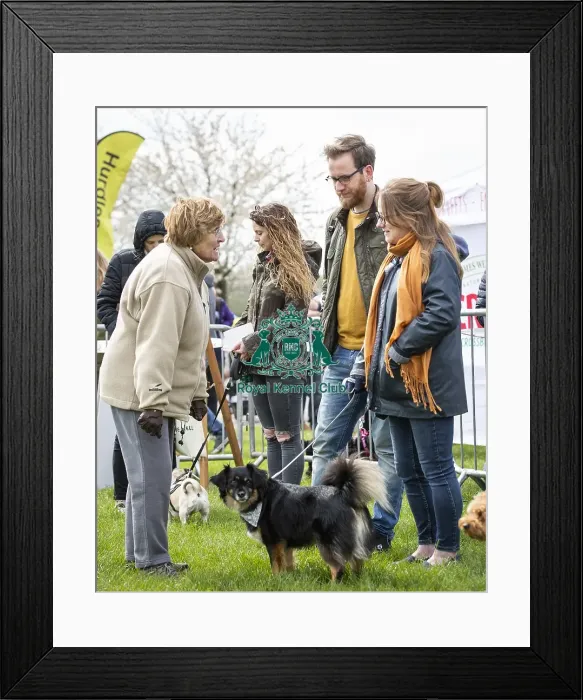 Framed Print : Scruffts Newbury 2019 Framed Print : Scruffts Newbury 2019