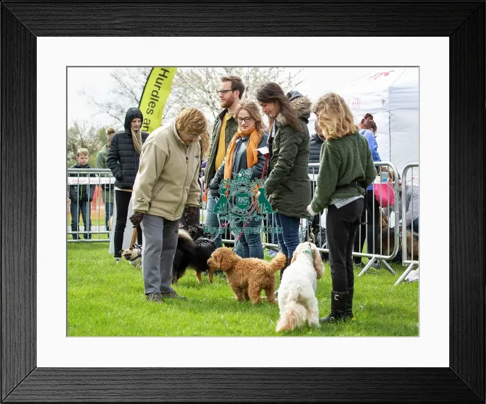 Framed Print : Scruffts Newbury 2019