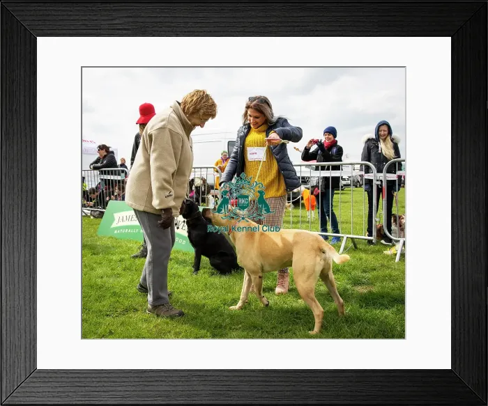 Framed Print : Scruffts Newbury 2019 Framed Print : Scruffts Newbury 2019