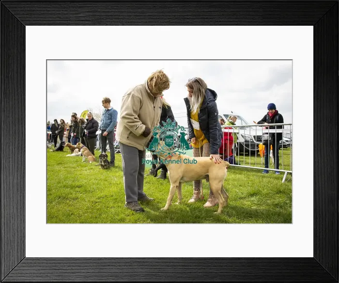 Framed Print : Scruffts Newbury 2019 Framed Print : Scruffts Newbury 2019