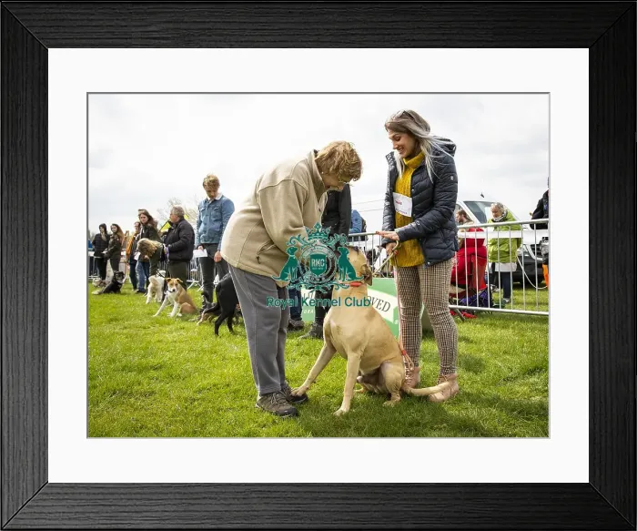 Framed Print : Scruffts Newbury 2019 Framed Print : Scruffts Newbury 2019
