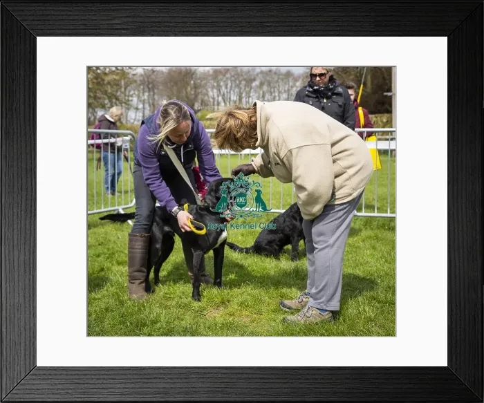 Framed Print : Scruffts Newbury 2019 Framed Print : Scruffts Newbury 2019
