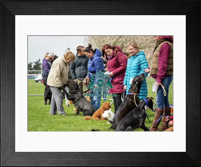 Framed Print : Scruffts Newbury 2019