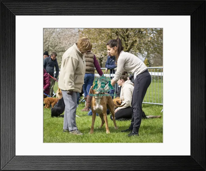 Framed Print : Scruffts Newbury 2019