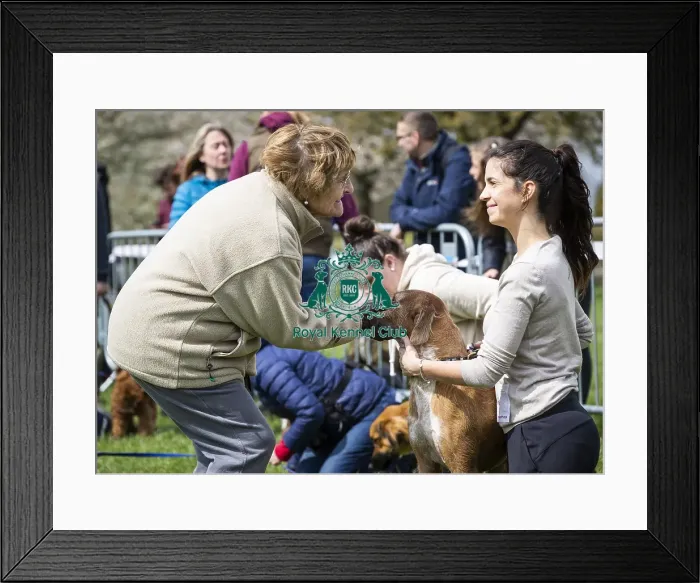 Framed Print : Scruffts Newbury 2019 Framed Print : Scruffts Newbury 2019