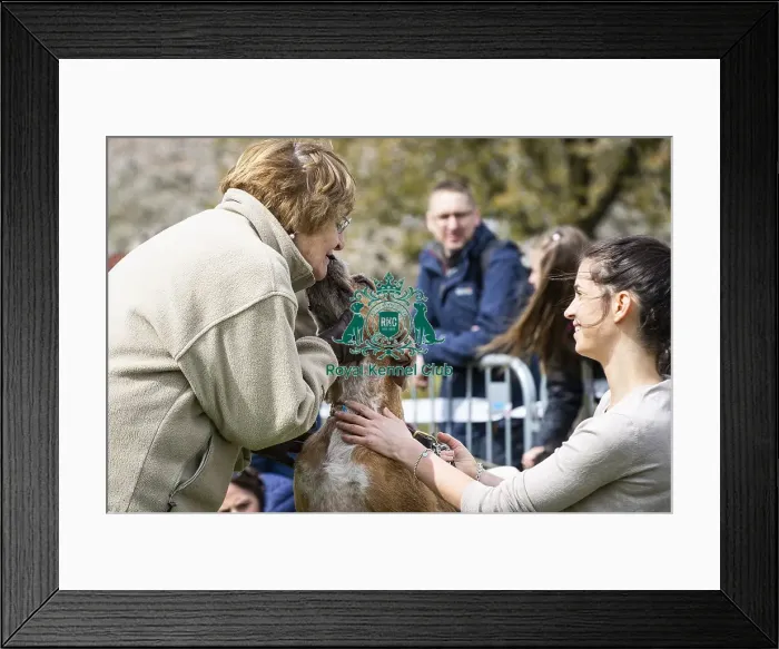Framed Print : Scruffts Newbury 2019 Framed Print : Scruffts Newbury 2019