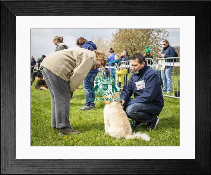 Framed Print : Scruffts Newbury 2019 Framed Print : Scruffts Newbury 2019