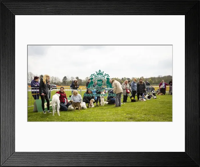Framed Print : Scruffts Newbury 2019 Framed Print : Scruffts Newbury 2019