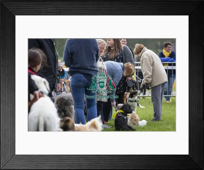 Framed Print : Scruffts Newbury 2019 Framed Print : Scruffts Newbury 2019