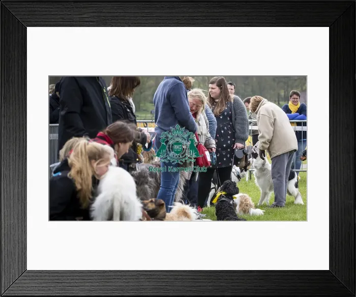 Framed Print : Scruffts Newbury 2019 Framed Print : Scruffts Newbury 2019