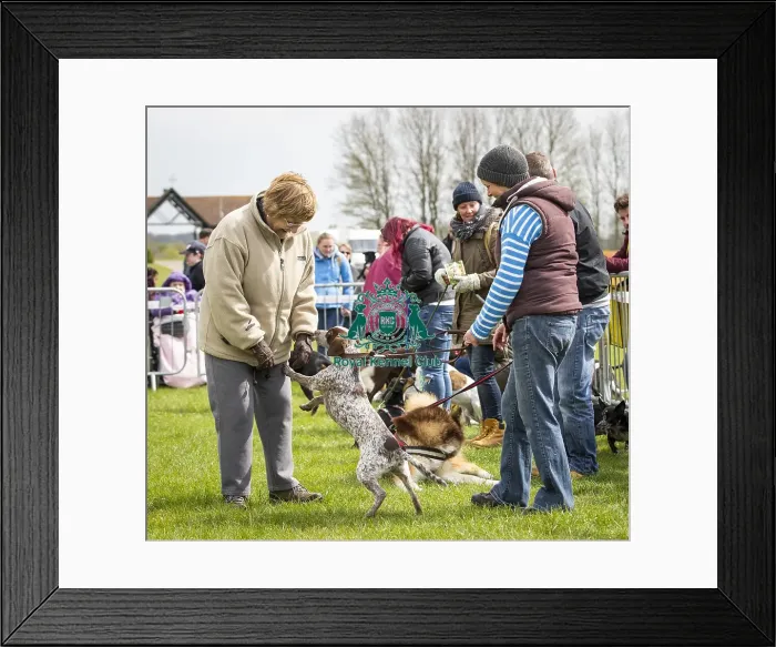 Framed Print : Scruffts Newbury 2019 Framed Print : Scruffts Newbury 2019