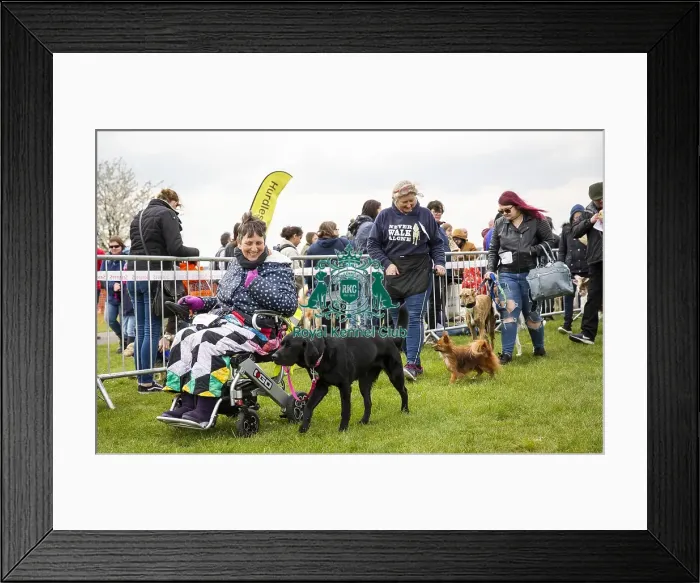 Framed Print : Scruffts Newbury 2019 Framed Print : Scruffts Newbury 2019