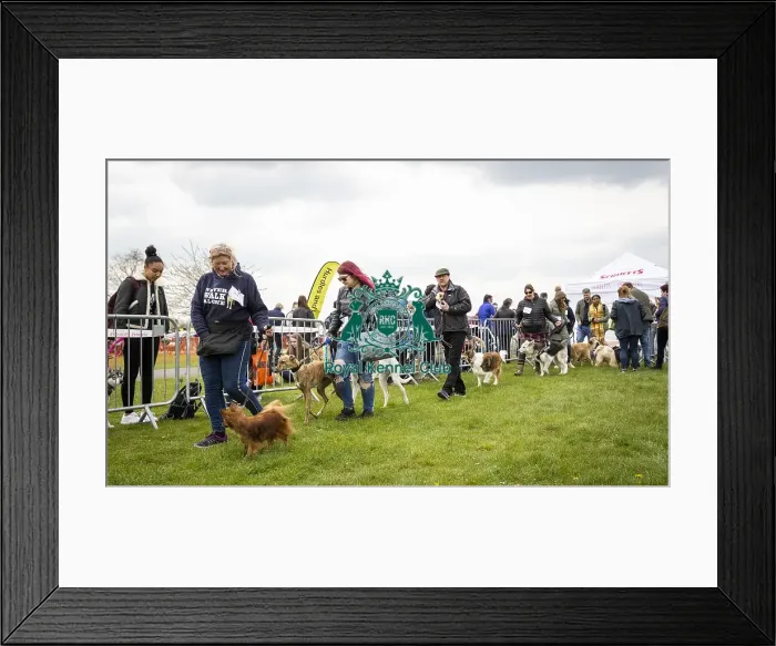 Framed Print : Scruffts Newbury 2019 Framed Print : Scruffts Newbury 2019