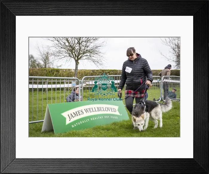 Framed Print : Scruffts Newbury 2019 Framed Print : Scruffts Newbury 2019