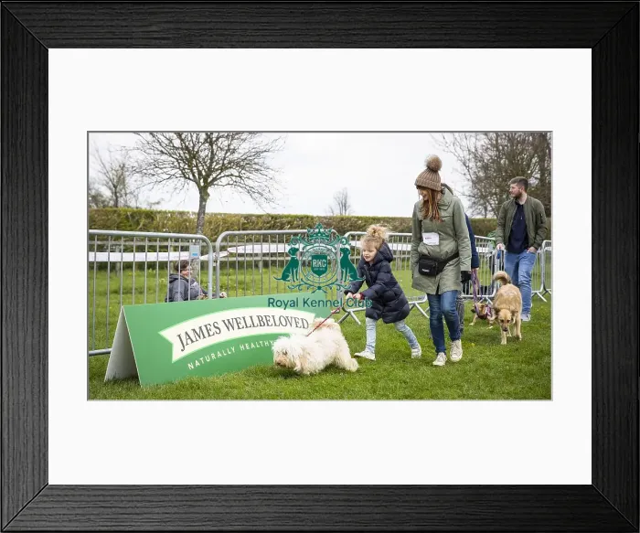 Framed Print : Scruffts Newbury 2019 Framed Print : Scruffts Newbury 2019