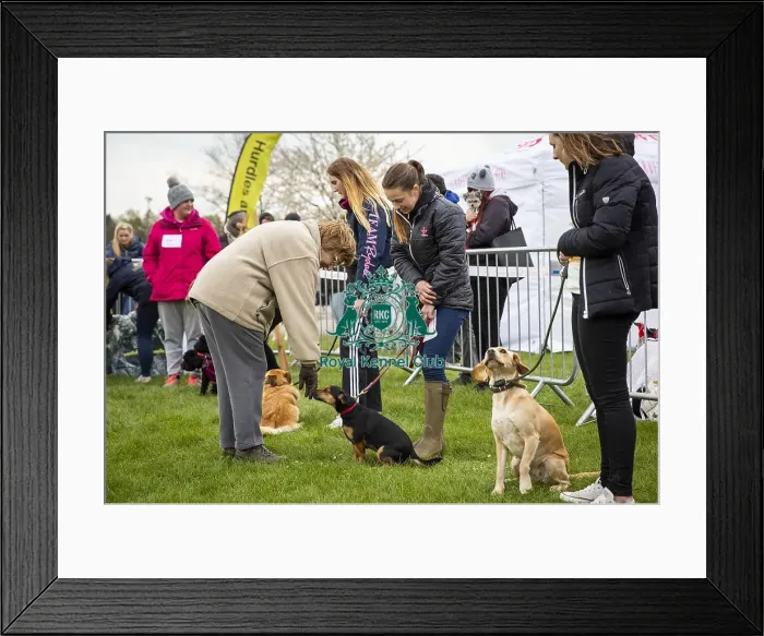 Framed Print : Scruffts Newbury 2019 Framed Print : Scruffts Newbury 2019