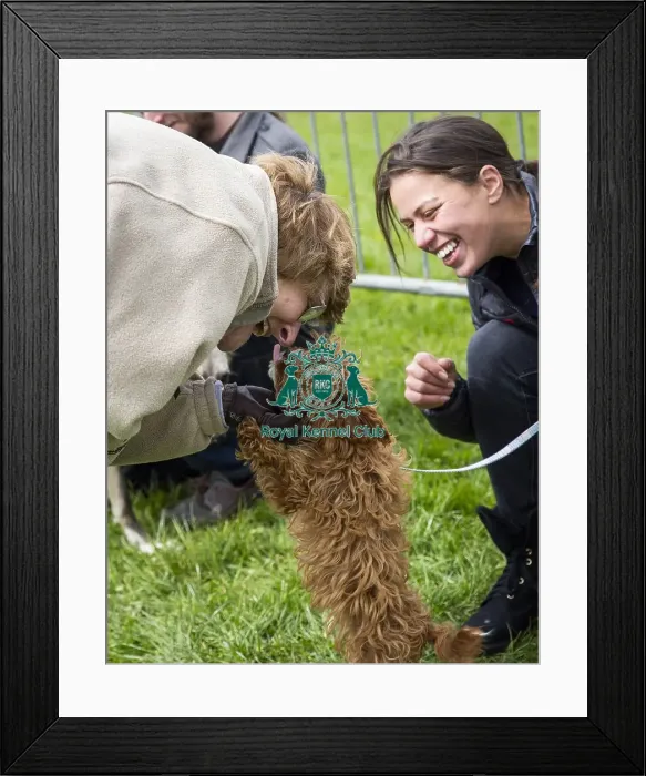 Framed Print : Scruffts Newbury 2019