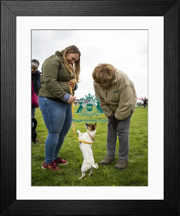 Framed Print : Scruffts Newbury 2019