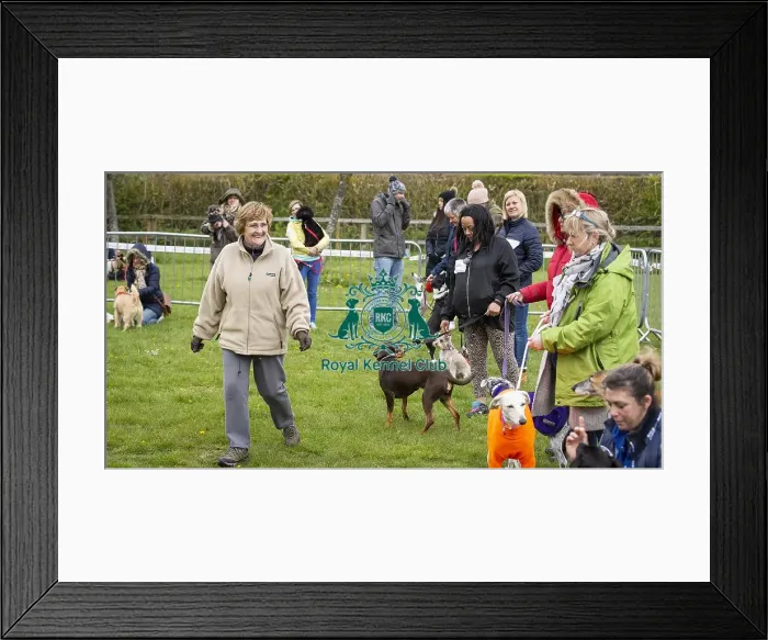 Framed Print : Scruffts Newbury 2019 Framed Print : Scruffts Newbury 2019