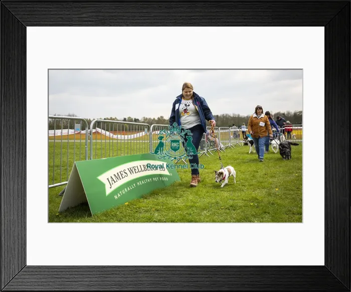 Framed Print : Scruffts Newbury 2019 Framed Print : Scruffts Newbury 2019