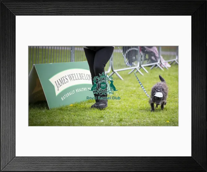 Framed Print : Scruffts Newbury 2019 Framed Print : Scruffts Newbury 2019