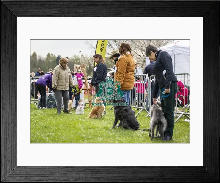 Framed Print : Scruffts Newbury 2019 Framed Print : Scruffts Newbury 2019