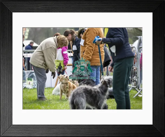 Framed Print : Scruffts Newbury 2019 Framed Print : Scruffts Newbury 2019