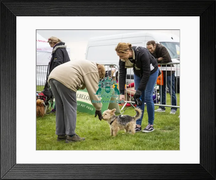 Framed Print : Scruffts Newbury 2019 Framed Print : Scruffts Newbury 2019