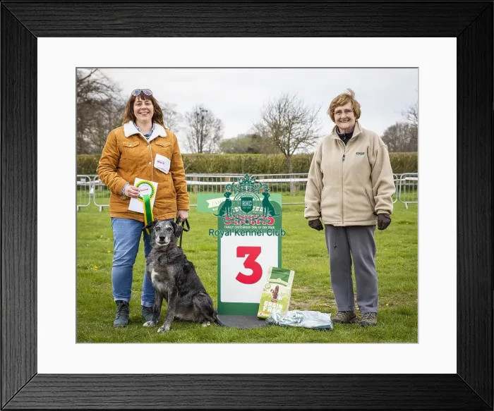 Framed Print : Scruffts Newbury 2019