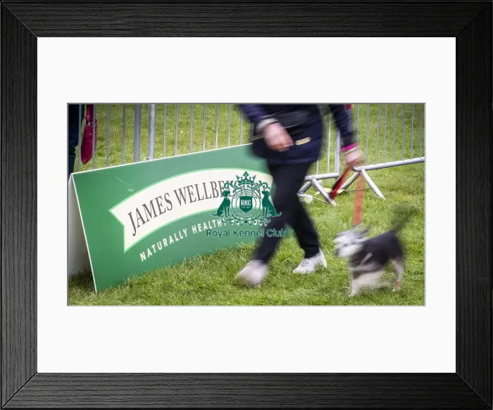 Framed Print : Scruffts Newbury 2019