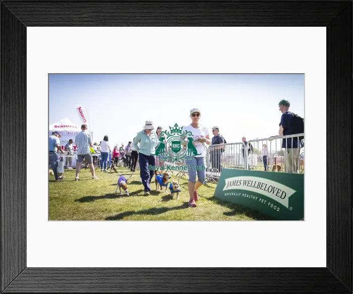 Framed Print : Scruffts Newark 2019 Framed Print : Scruffts Newark 2019