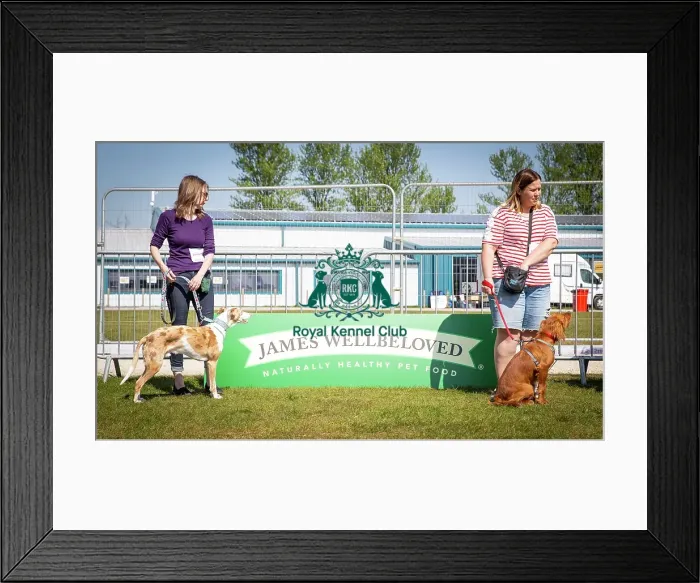Framed Print : Scruffts Newark 2019 Framed Print : Scruffts Newark 2019