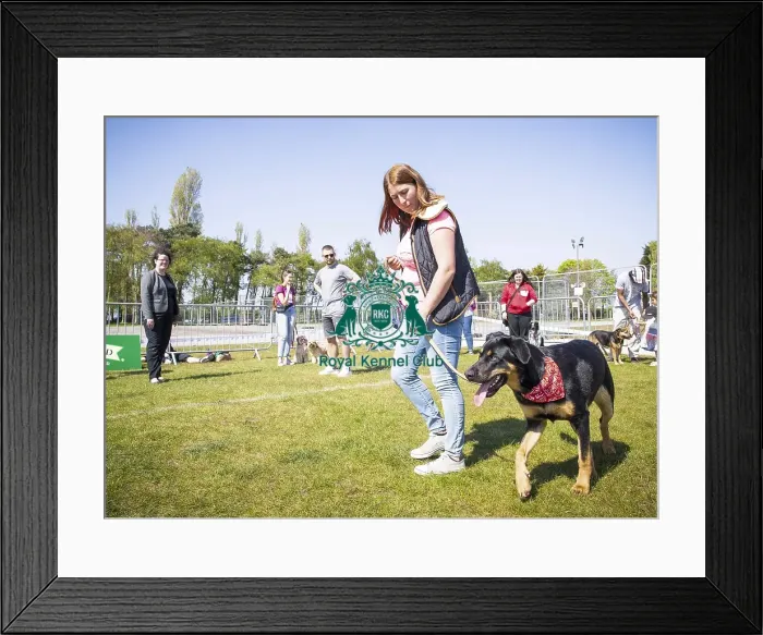 Framed Print : Scruffts Newark 2019 Framed Print : Scruffts Newark 2019