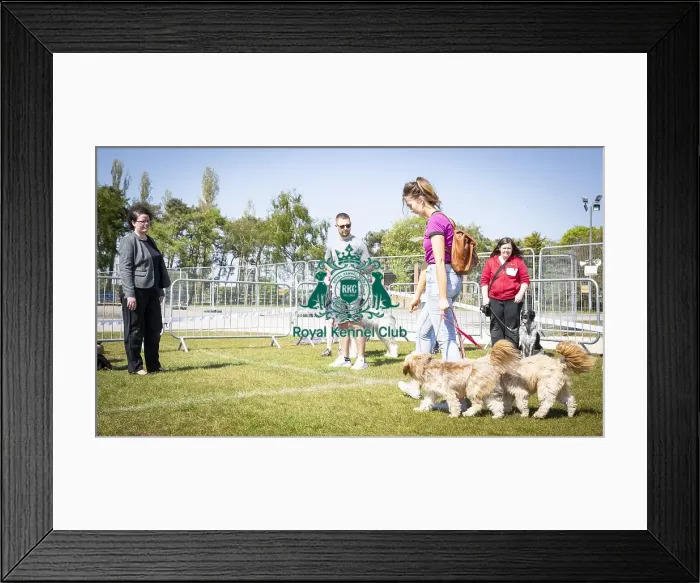 Framed Print : Scruffts Newark 2019 Framed Print : Scruffts Newark 2019