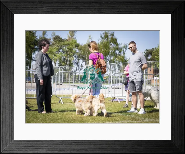 Framed Print : Scruffts Newark 2019 Framed Print : Scruffts Newark 2019