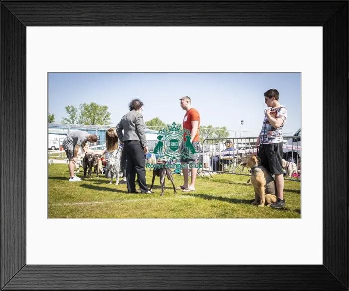 Framed Print : Scruffts Newark 2019 Framed Print : Scruffts Newark 2019