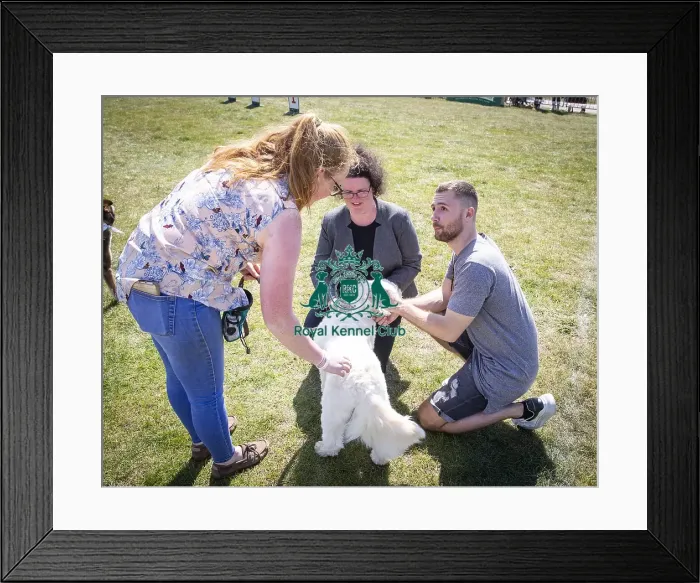 Framed Print : Scruffts Newark 2019 Framed Print : Scruffts Newark 2019