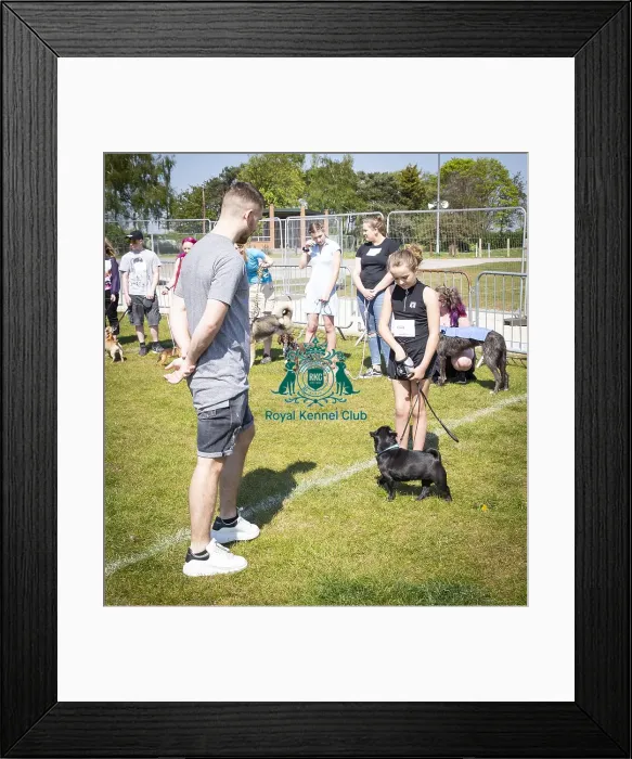 Framed Print : Scruffts Newark 2019 Framed Print : Scruffts Newark 2019