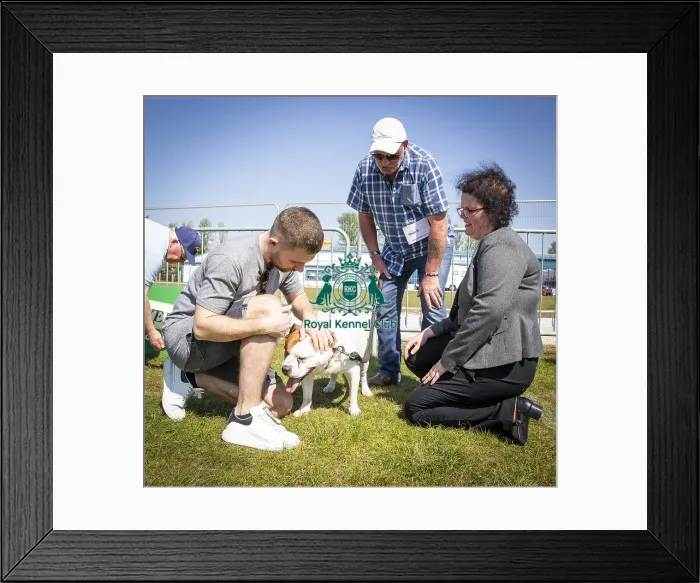 Framed Print : Scruffts Newark 2019 Framed Print : Scruffts Newark 2019
