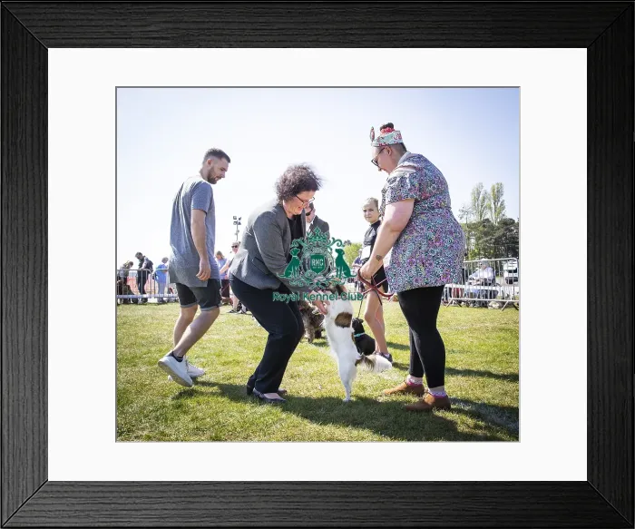 Framed Print : Scruffts Newark 2019 Framed Print : Scruffts Newark 2019