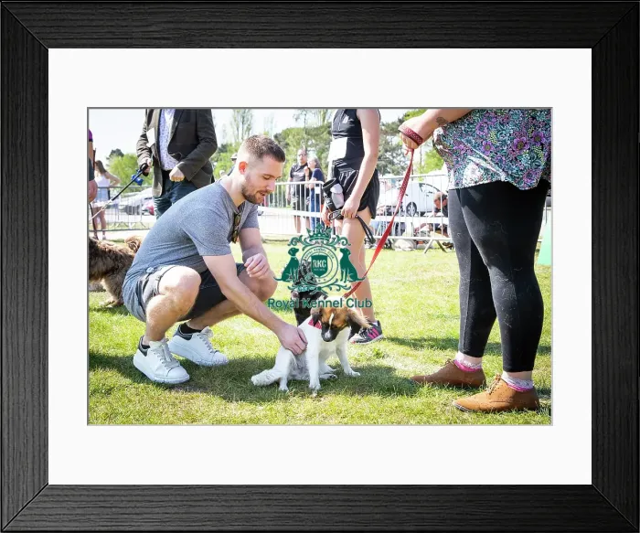 Framed Print : Scruffts Newark 2019 Framed Print : Scruffts Newark 2019