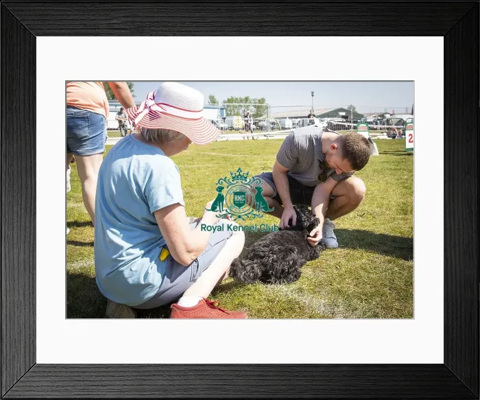 Framed Print : Scruffts Newark 2019