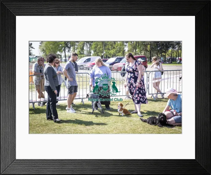 Framed Print : Scruffts Newark 2019