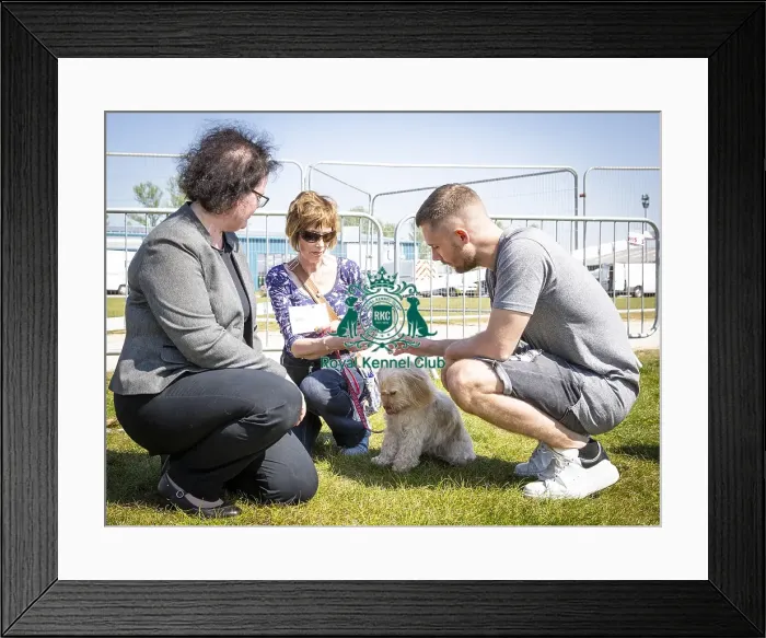 Framed Print : Scruffts Newark 2019