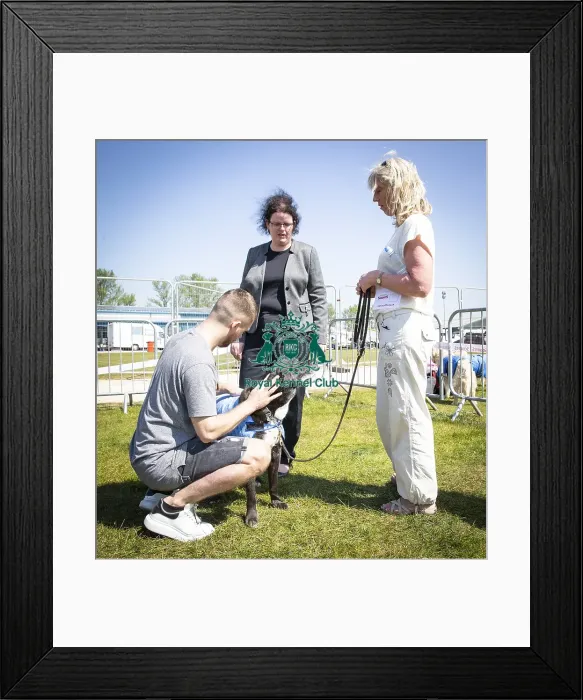 Framed Print : Scruffts Newark 2019