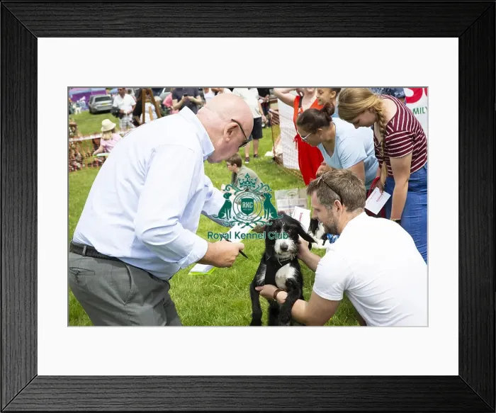 Framed Print : Scruffts Essex Hylands May 26, 2019 Framed Print : Scruffts Essex Hylands May 26, 2019