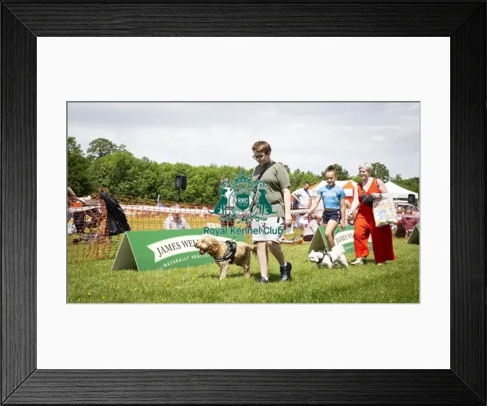 Framed Print : Scruffts Essex Hylands May 26, 2019 Framed Print : Scruffts Essex Hylands May 26, 2019