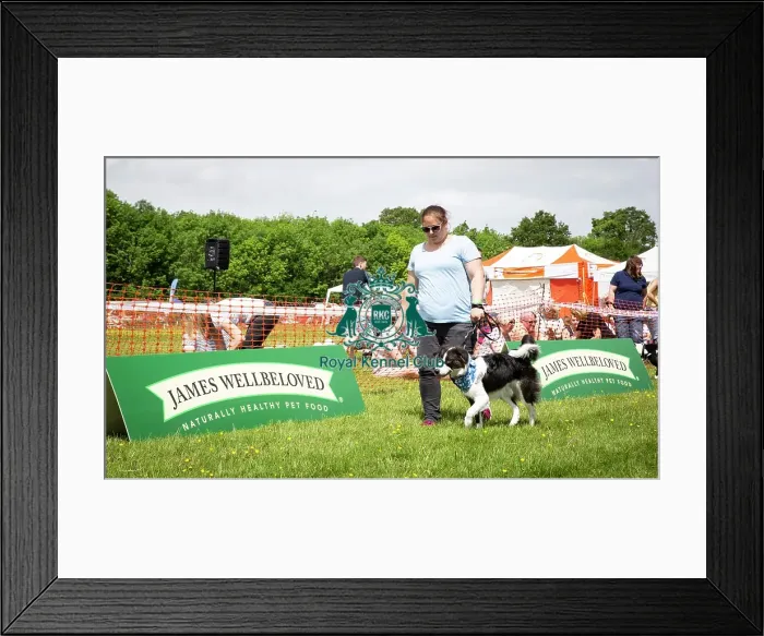 Framed Print : Scruffts Essex Hylands May 26, 2019