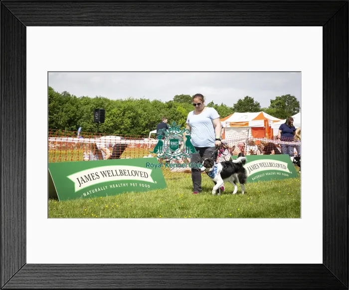 Framed Print : Scruffts Essex Hylands May 26, 2019 Framed Print : Scruffts Essex Hylands May 26, 2019